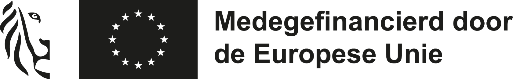 medegefinancierd door europese unie